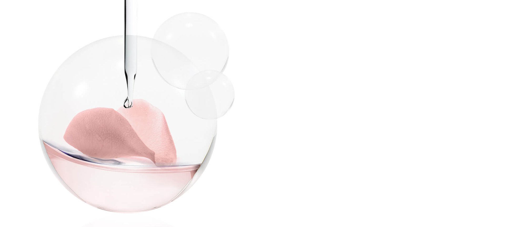 BANERI ZA PIVOINE 20